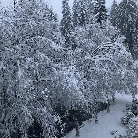 Le Du Narouel Gerardmer